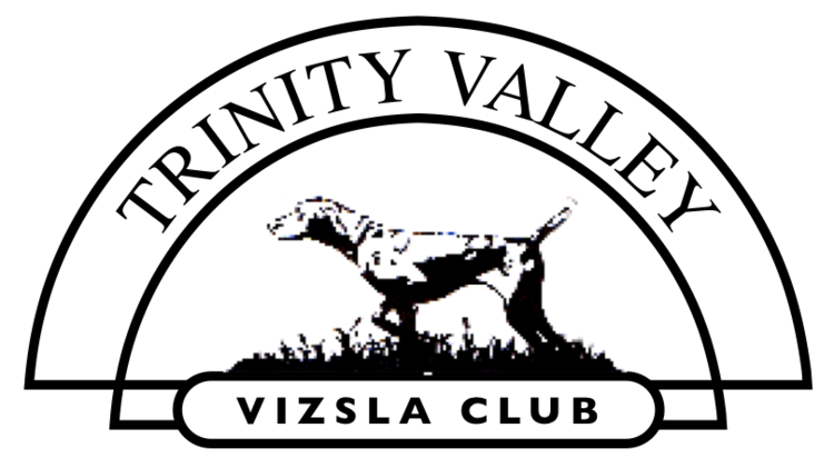 Lone star best sale vizslas